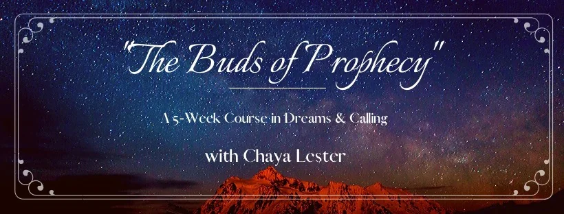 Buds of Prophecy online dream workshop poster